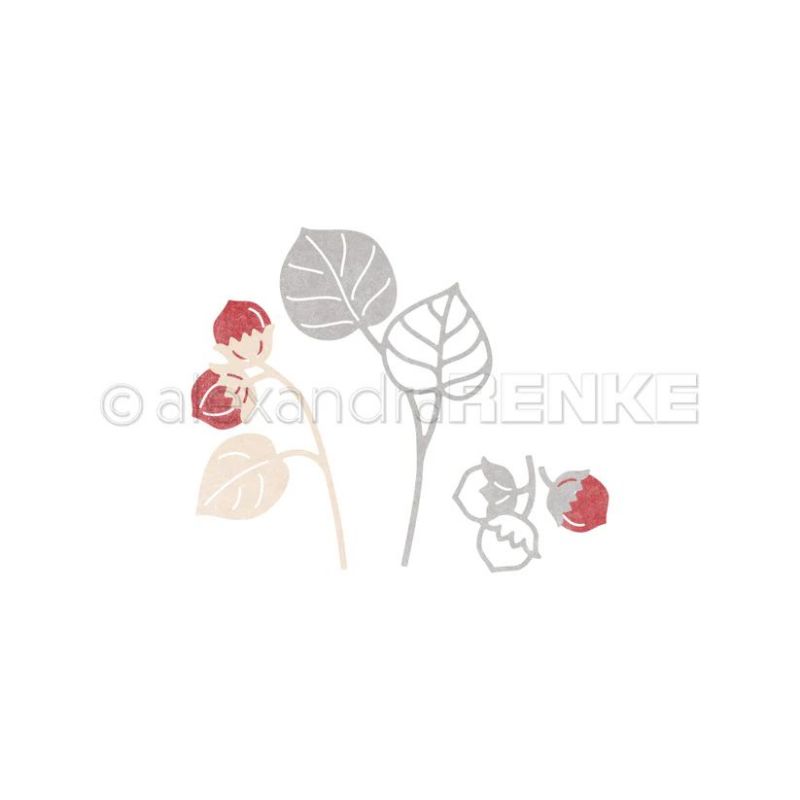 Piggy Craft Metall-Stanzformen – Stencil Cutting Plotter Bewertung und Preis