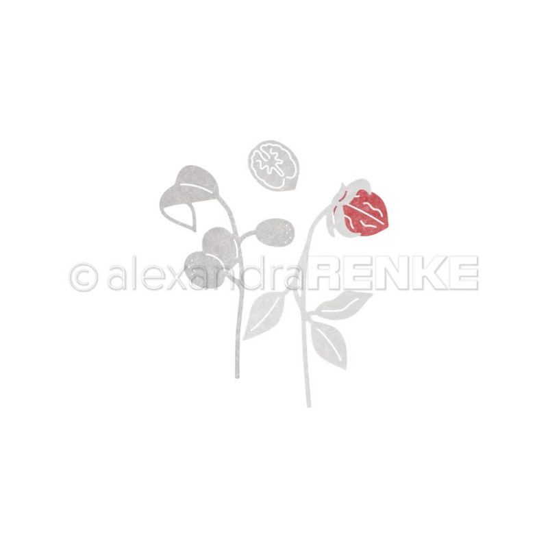 Piggy Craft Metall-Stanzformen – Stencil Cutting Plotter Bewertung und Preis